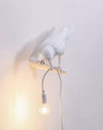 Bird Wall Light - Unique Resin Design with Adjustable Height 7