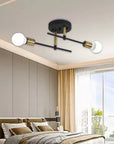 Ceiling Lamp - Modern Elegance with Dual Light Source 1