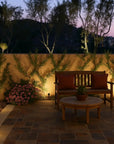 Solar Powered Garden Spotlight - 9 Color Options & Automatic Lighting 3