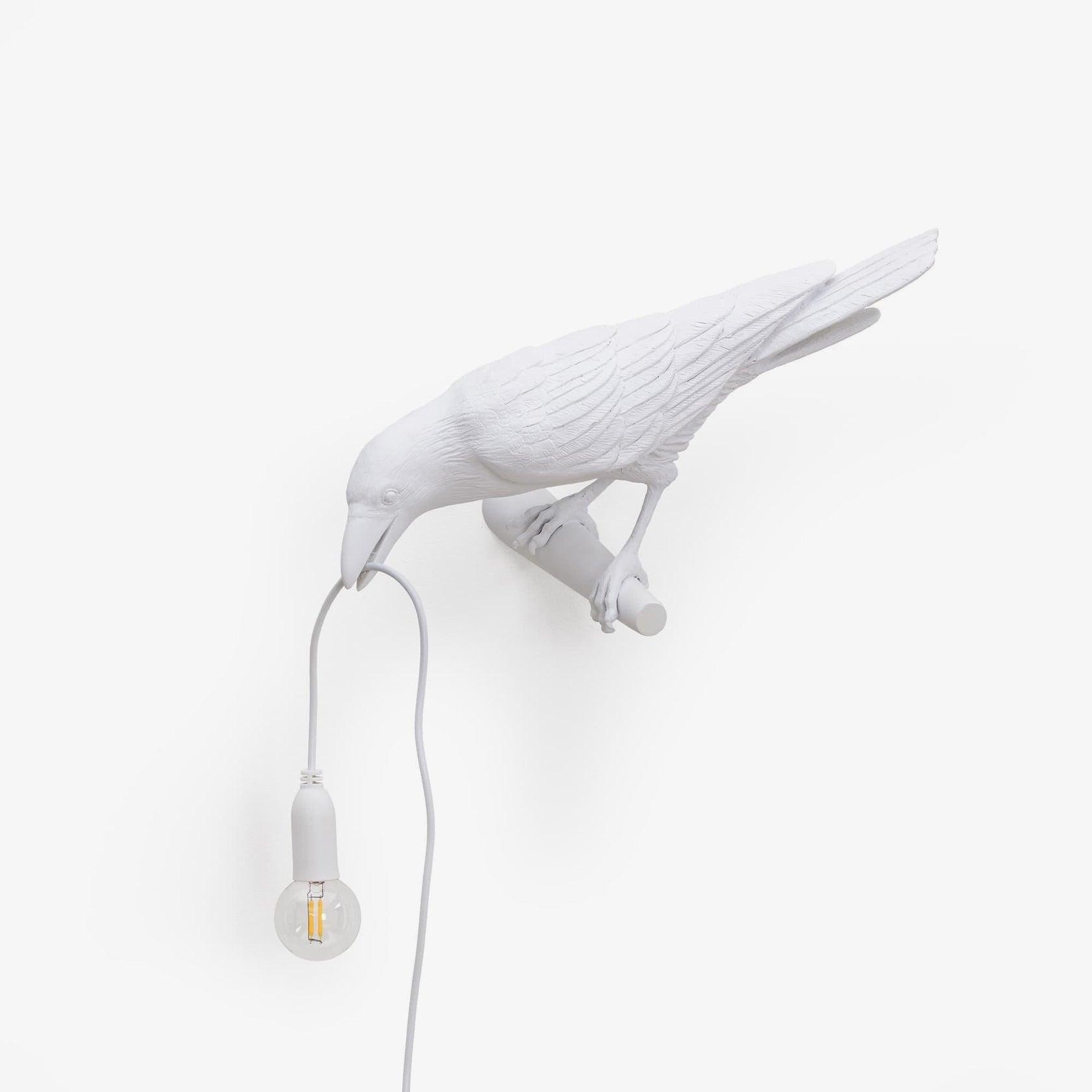 Bird Wall Light - Unique Resin Design with Adjustable Height 5