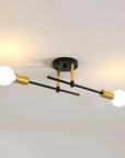 Ceiling Lamp - Modern Elegance with Dual Light Source 0