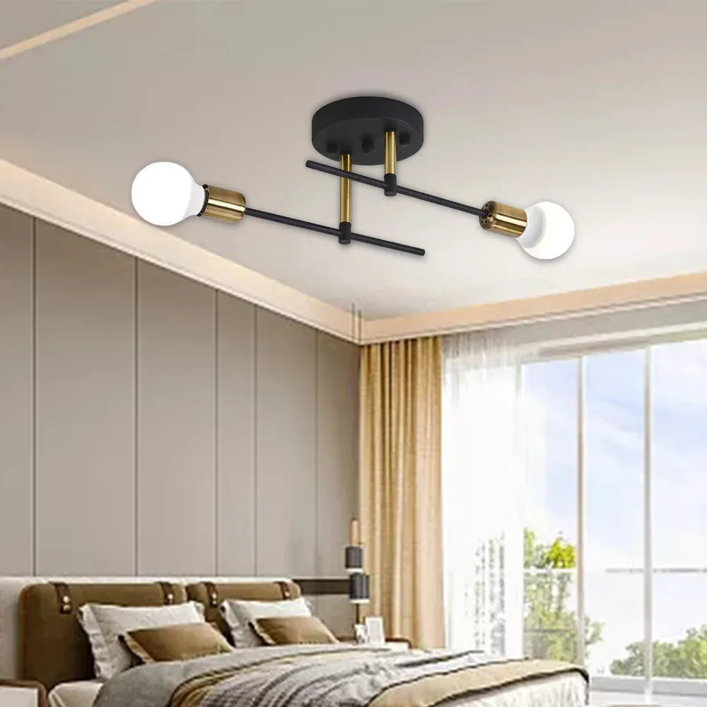 Ceiling Lamp - Modern Elegance with Dual Light Source 1