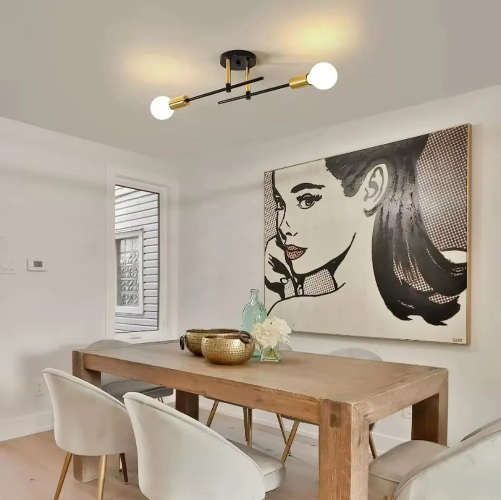Ceiling Lamp - Modern Elegance with Dual Light Source 2