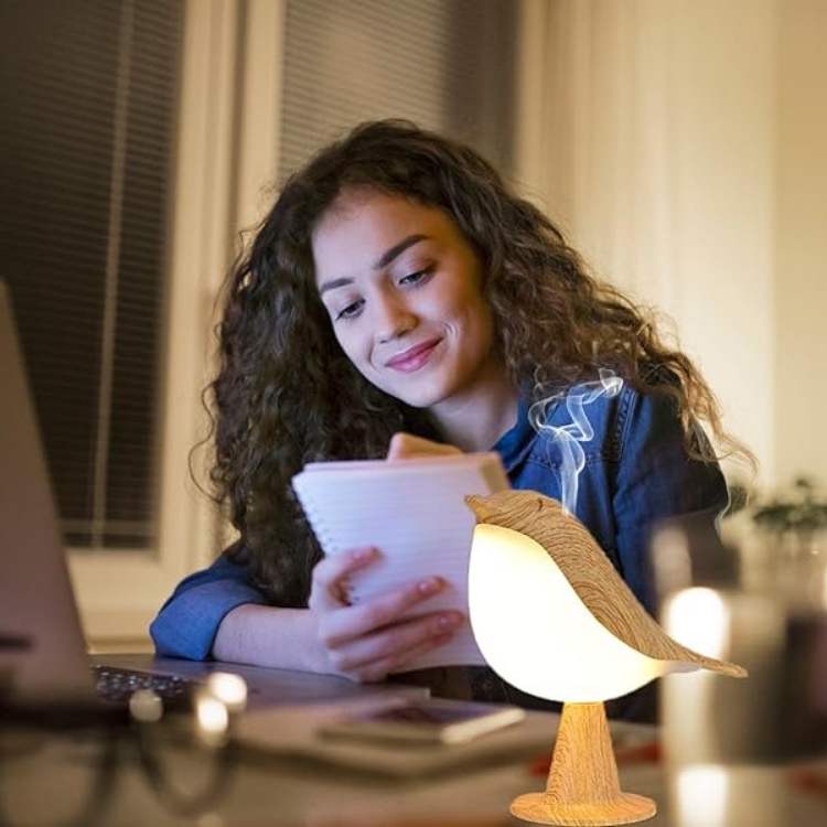 Elegant Touch Table Lamp - Adjustable Brightness &amp; Oil Diffuser for Bedside 1