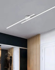 Minimalist Ceiling Light - Dimmable LED Fixture for Modern Spaces 1