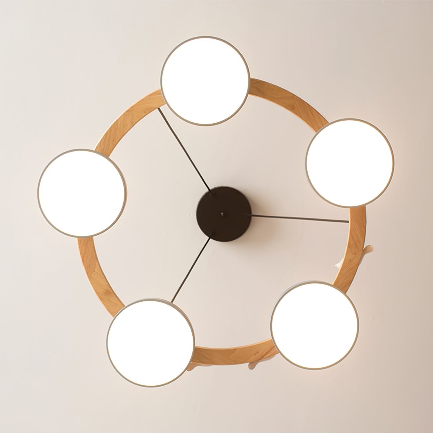 Nature-Inspired LED Chandelier - Adjustable Height &amp; Warm Illumination 6