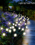 Solar Garden Lights - Weather-Resistant & Energy Efficient Illumination 1