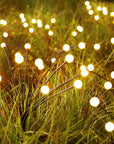 Solar Garden Lights - Weather-Resistant & Energy Efficient Illumination 4
