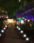 Solar Pathway Lights - Elegant Design with 8-Hour Illumination 2